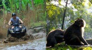 Bali ATV Ride and Ubud Unique Tour Day Tours Packages